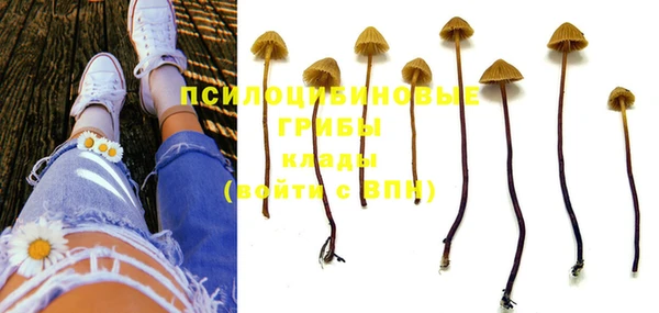 индика Алексеевка