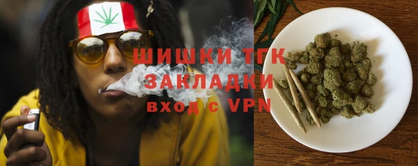 сатива Абинск