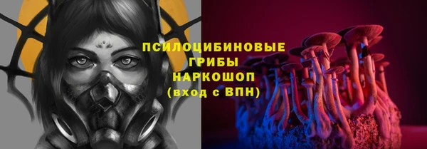 круглые Абаза