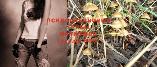 стаф Абдулино
